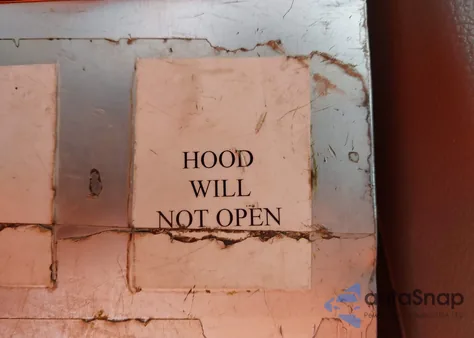 2019 Honda Odyssey Ex-L from USA, damaged, VIN 5FNRL6H71KB015906